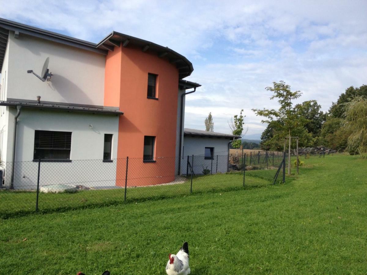 Haus Luna - Privatzimmer Im Sonnigen Suedburgenland Hackerberg ภายนอก รูปภาพ